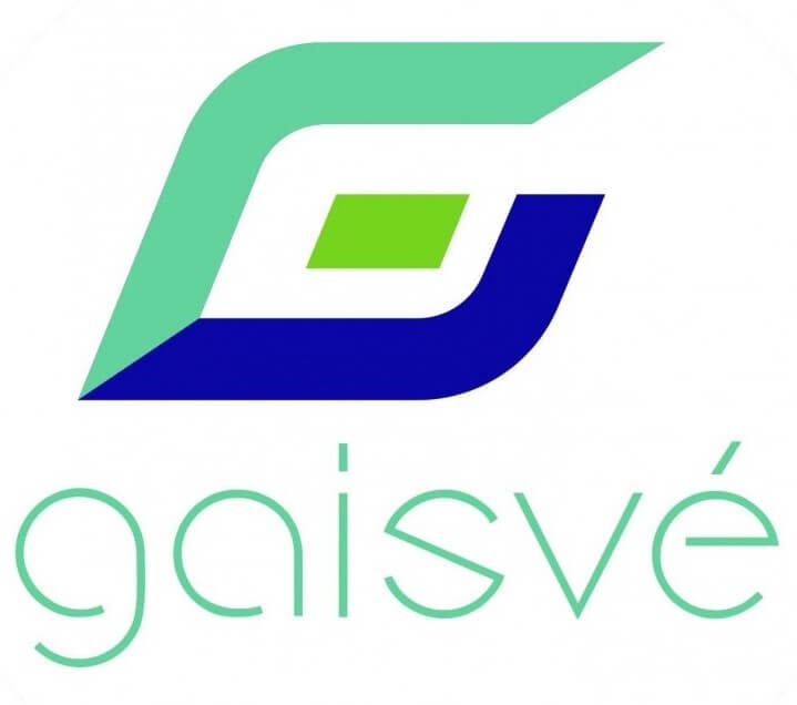 Gaisvė LOGO
